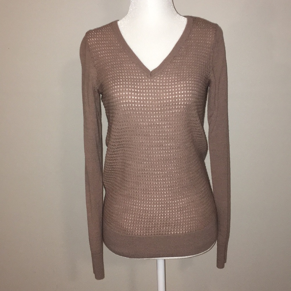 🌮The Limited V-neck sweater